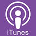 itunes2 itunes2
