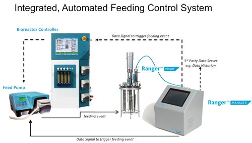 1660252407071 Automatedfeedingcontrolfig1