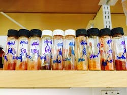 catalysts-fig1 catalysts-fig1