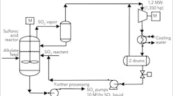 1660252473890 Sulfonicacidplantfig1lg 1660252473890 Sulfonicacidplantfig1lg