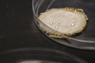 1660252606905 Hedgehogparticlesfig1