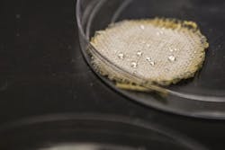 hedgehog-particles-fig1 hedgehog-particles-fig1