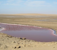 1660253147012 1407algaeseaweedts