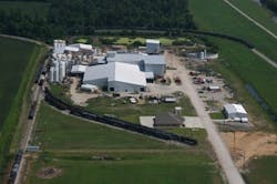 1407-plant-rebounds-after-natural-disaster-fig1 1407-plant-rebounds-after-natural-disaster-fig1