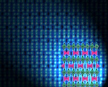 1660253590318 Oxygenspongets