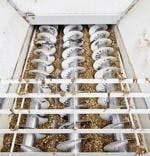 resizedimage150156-novozymes2 resizedimage150156-novozymes2