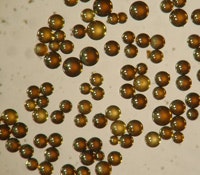 1660253735750 1309tsironcatalyst