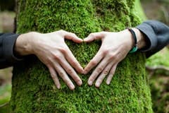 treehugger-blog treehugger-blog