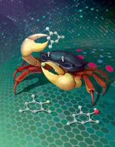 1660253790240 Phthaloylperoxidepromises