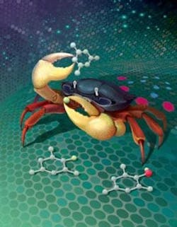 1660253790240 Phthaloylperoxidepromises 1660253790240 Phthaloylperoxidepromises