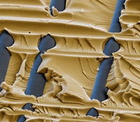 1660253863854 1307tsbasfrevealsrdstrategy