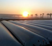 1306-ts-biofuels-continue-progress 1306-ts-biofuels-continue-progress