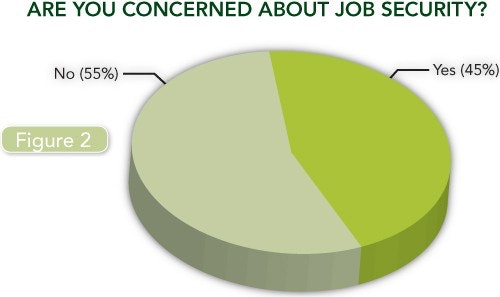 2013 Salary Survey Fig 2 Job Security Chemical Processing