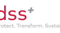 dss-logo