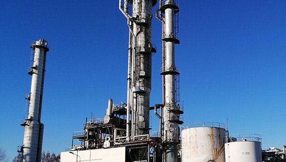 1660317225742 Toyamaplanthero