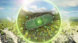 Engineered-Bacteria