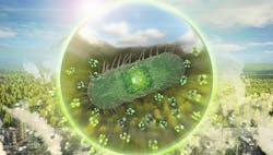 1660317259299 Engineeredbacteria 1660317259299 Engineeredbacteria