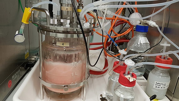 1660317433655 Microbescopy