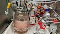 1660317433655 Microbescopy 1660317433655 Microbescopy