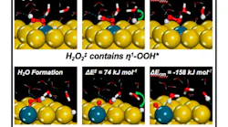 Active-Site-Structure-Affects-Transition-State-Coordination