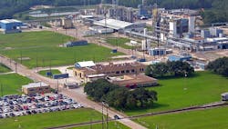 1660317475816 Orangeplantphoto 1660317475816 Orangeplantphoto