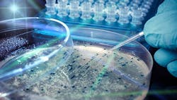 1660317500112 Upcycleecoli 1660317500112 Upcycleecoli