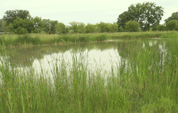 Dow-Midland-Riverside-Wetland Dow-Midland-Riverside-Wetland