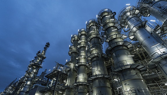 1660318087826 Plantshot2copy