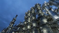 1660318087826 Plantshot2copy 1660318087826 Plantshot2copy