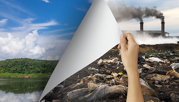 1660318090548 Strangebedfellowsenvironmentalprotection