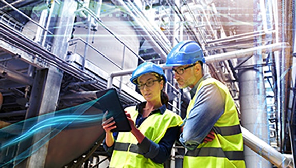 1660318102576 Heroplantsight