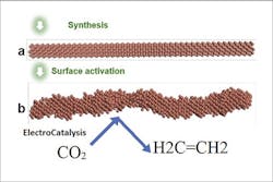 1660318182831 Evcopy 1660318182831 Evcopy