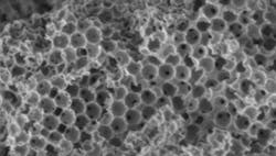 1660318213448 Heroozbiocatalystspongecopy 1660318213448 Heroozbiocatalystspongecopy