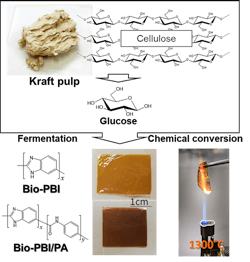 JAIST-pic-copy JAIST-pic-copy