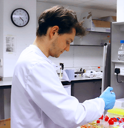 edinburgh-3-copy edinburgh-3-copy