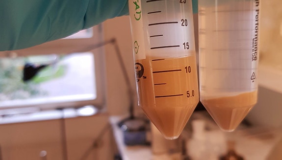 1660318235343 Swedishdiapercopy