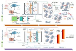 fig-3-celbicon-processing-lines fig-3-celbicon-processing-lines