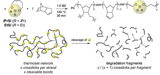 1660318300961 Fig1theintroductionofxcleavablebondswithinthestrandsofpdcpdwithccrosslinksp