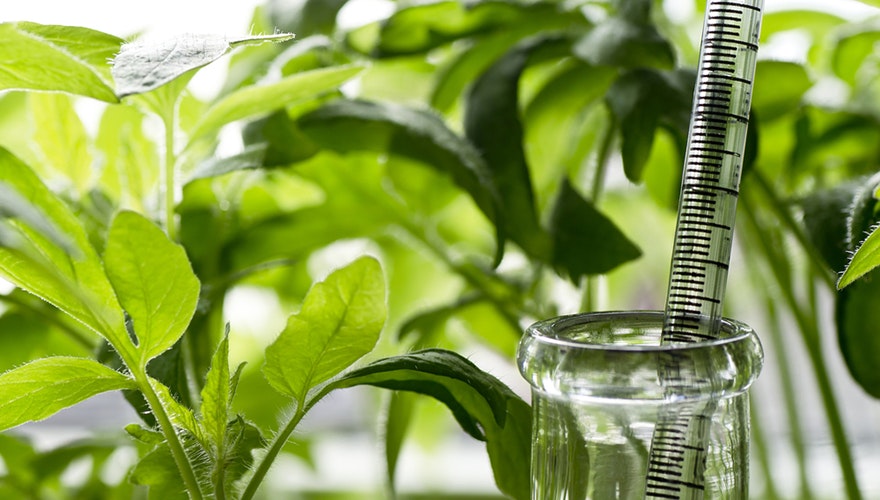 1660318402259 Treeresearchbranchesouthero