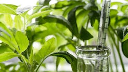 1660318402259 Treeresearchbranchesouthero 1660318402259 Treeresearchbranchesouthero