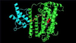 fig-1-structural-image fig-1-structural-image