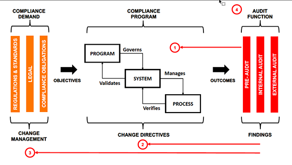 1660318537767 Fig1misapplicationofaudits
