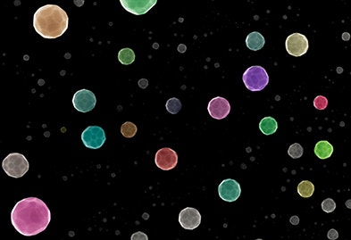 1660318580153 Fig1mirkincoloredversionofnanoparticlescopy