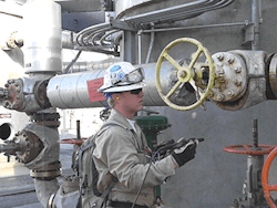 1660318585670 Figure1 1660318585670 Figure1