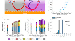 fig-1-Carbon-Nitrogen-Bonds-small