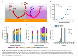 1660318615550 Fig1carbonnitrogenbondssmall 1660318615550 Fig1carbonnitrogenbondssmall