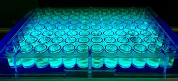 1660318641975 Fig1impactofaphotocatalystonavarietyofpossiblesubstrates
