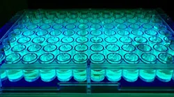 fig-1-impact-of-a-photocatalyst-on-a-variety-of-possible-substrates