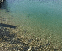 fig-2-clear-pond fig-2-clear-pond