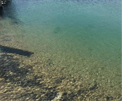 fig-2-clear-pond fig-2-clear-pond